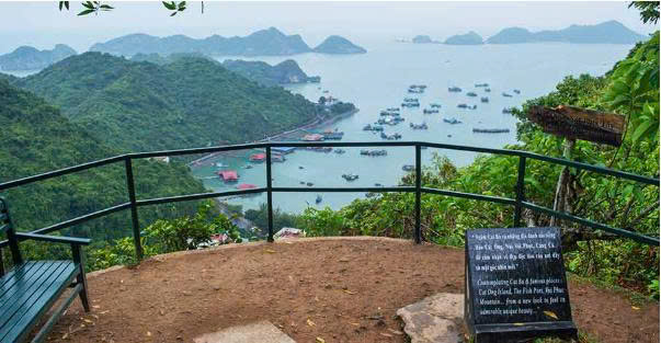 Cat Ba Map: Your Complete Guide to Exploring the Cat Ba