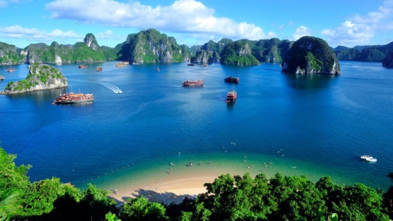 Cat Ba Map: Your Complete Guide to Exploring the Cat Ba