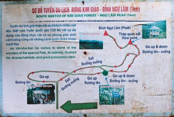 Ngu Lam Peak: The Best Viewpoint To See The Whole Cat Ba Island