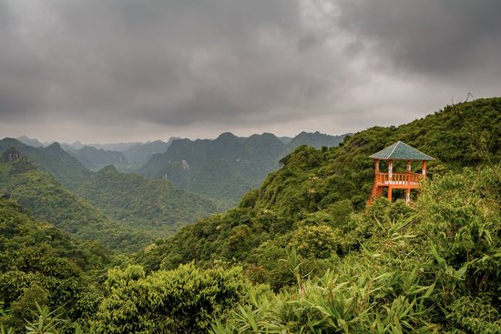 Ngu Lam Peak: The Best Viewpoint To See The Whole Cat Ba Island