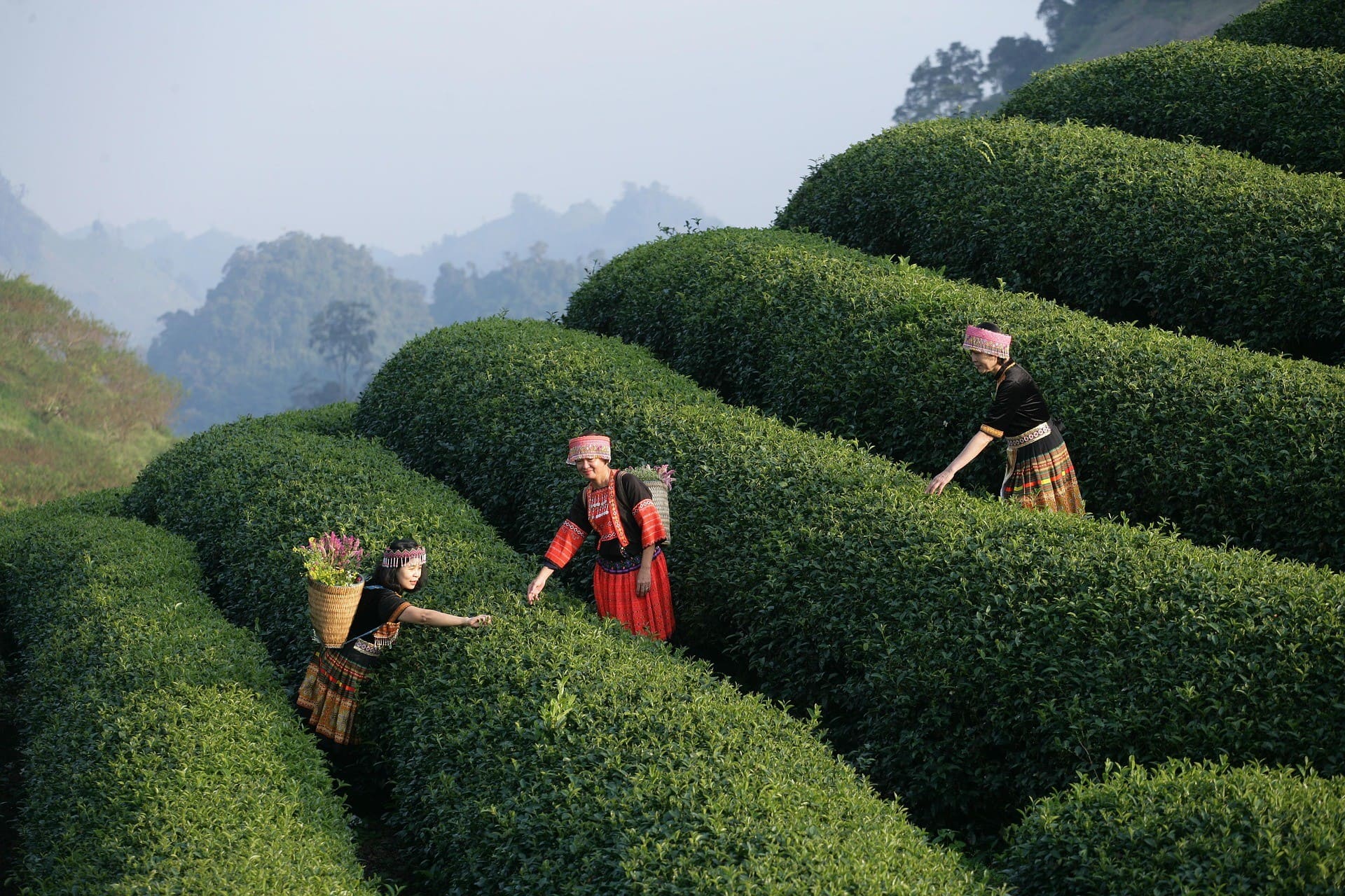 Responsible Tourism Guidelines 1 responsible tourism guidelines