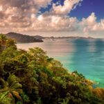 dan b avatar tripadvisor