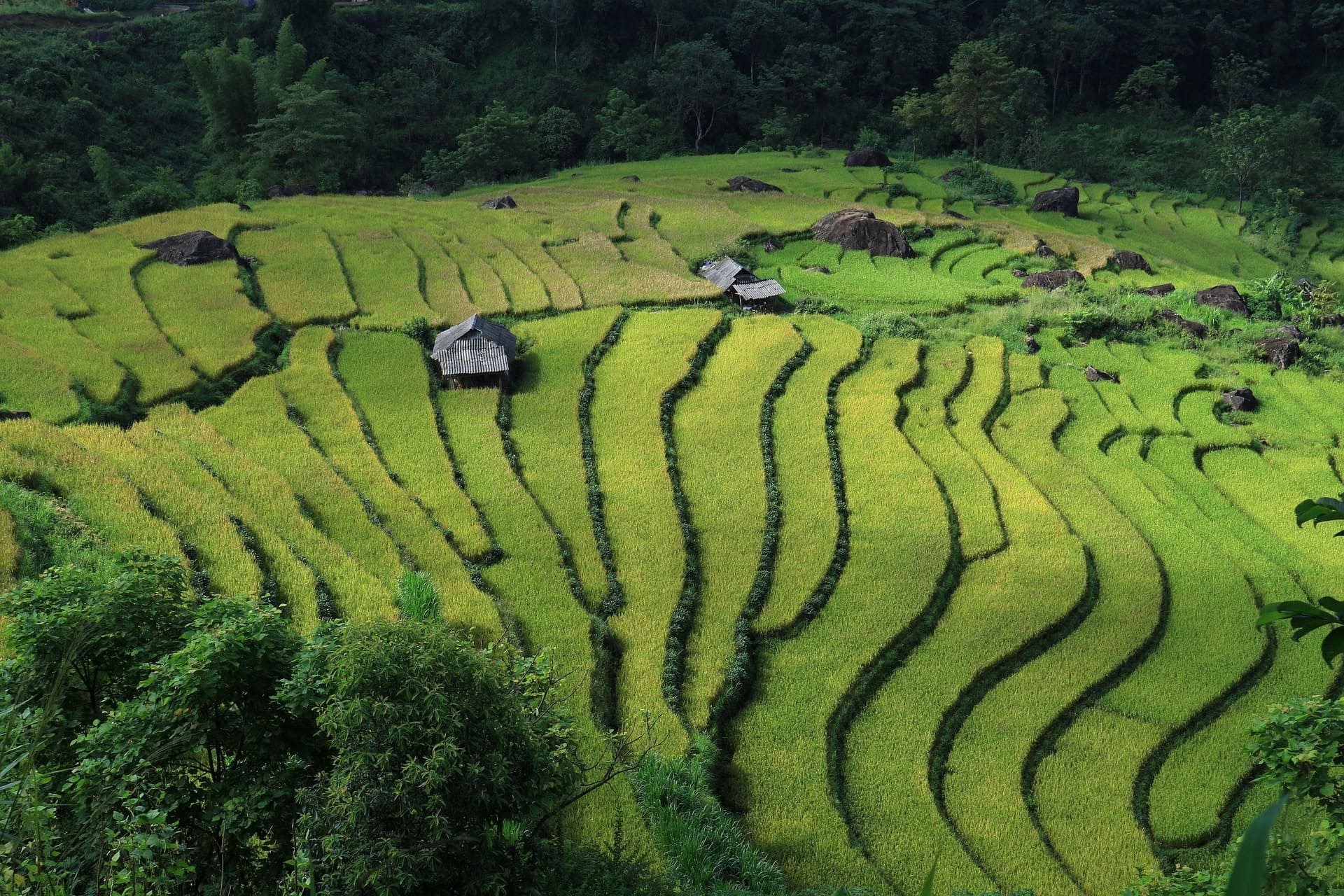 VIETNAM LANDSCAPE WONDER 15 days vietnam explorer