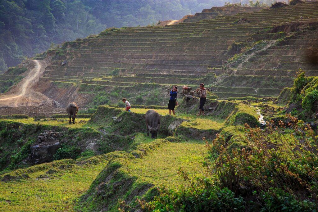 sapa tour 2 days ta van trekking