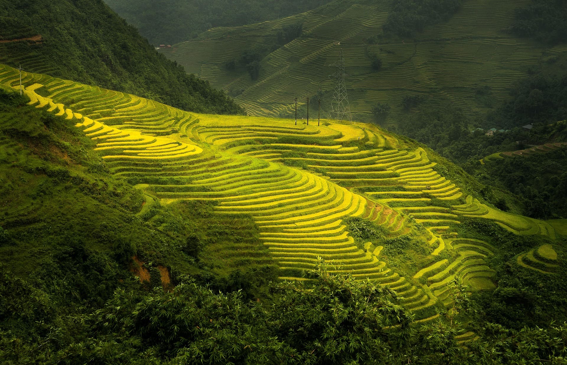 Sapa Tours 1 sapa tours banner image