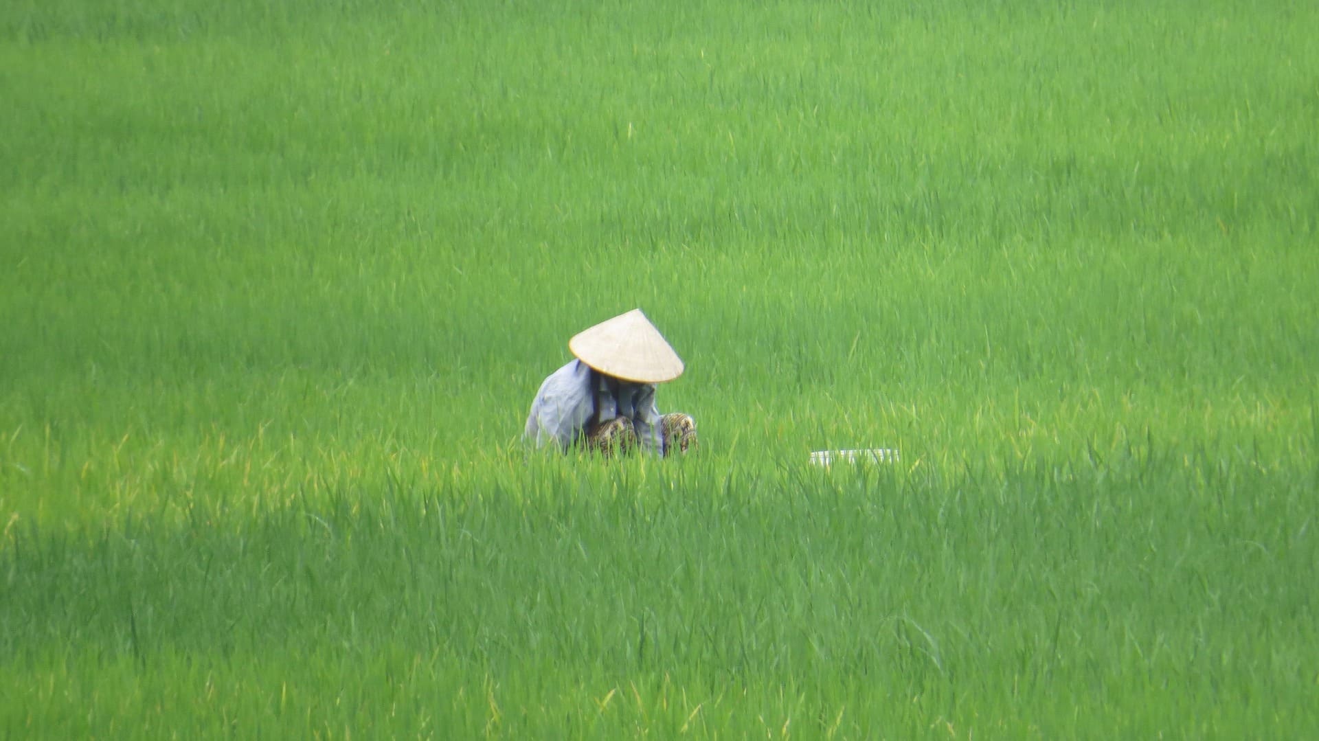 Mai Chau Tours 5 mai chau tours