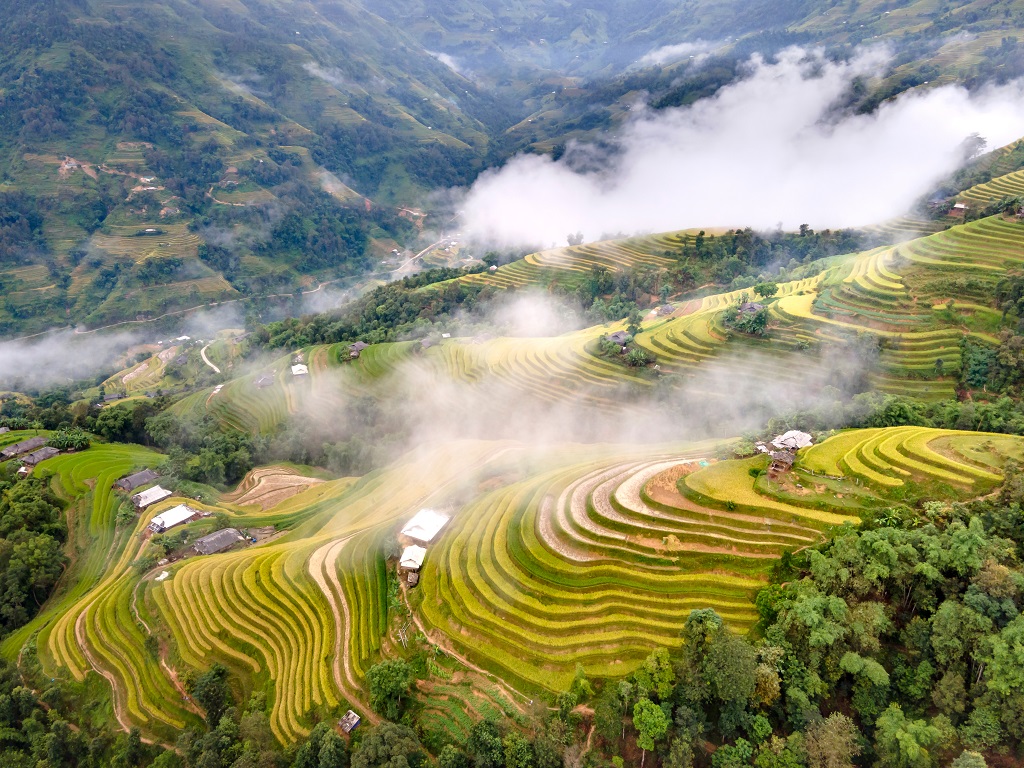 Hoang Su Phi Ha Giang