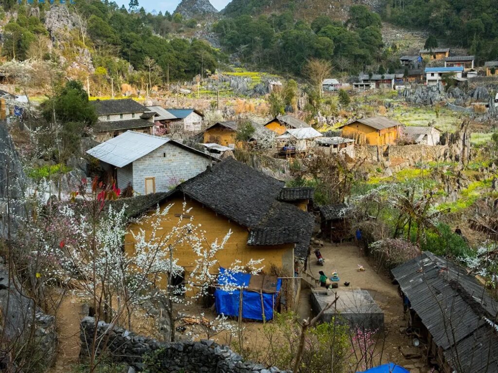 Hoang Su Phi Ha Giang Comfort Car Tour