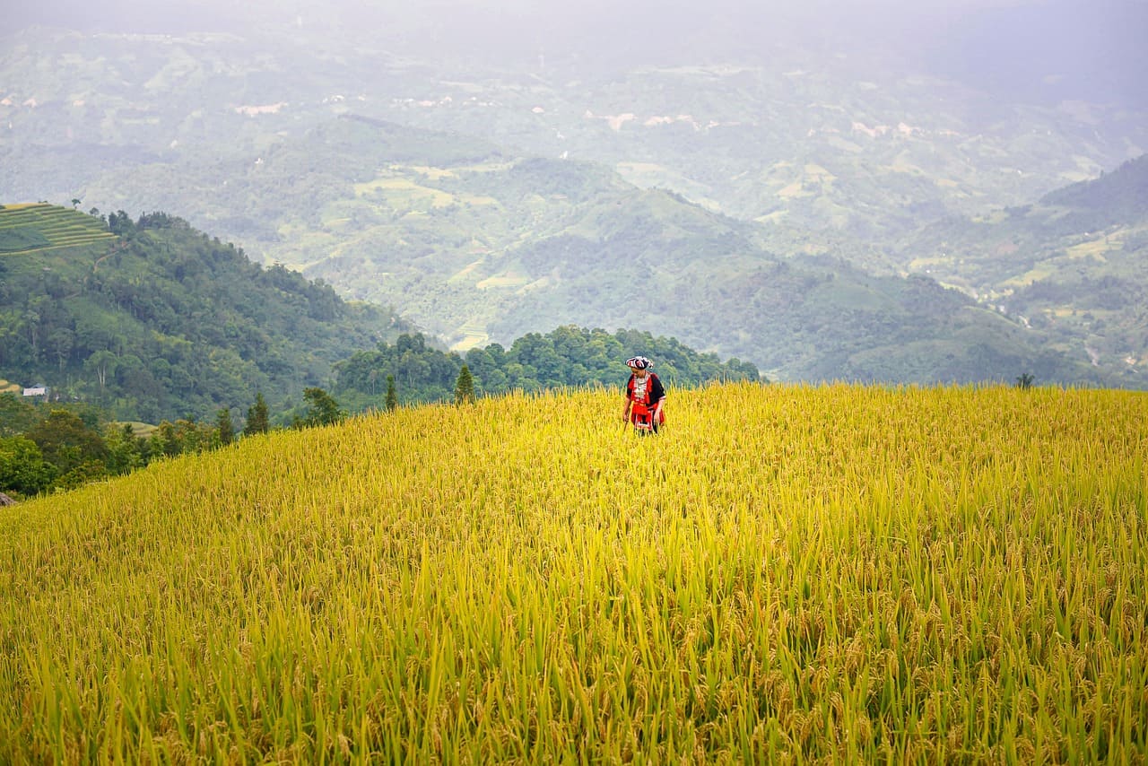 Hoang Su Phi Ha Giang Comfort Car Tour 5 days 4 nights 7 Hoang Su Phi Trekking Tour in 4N3D