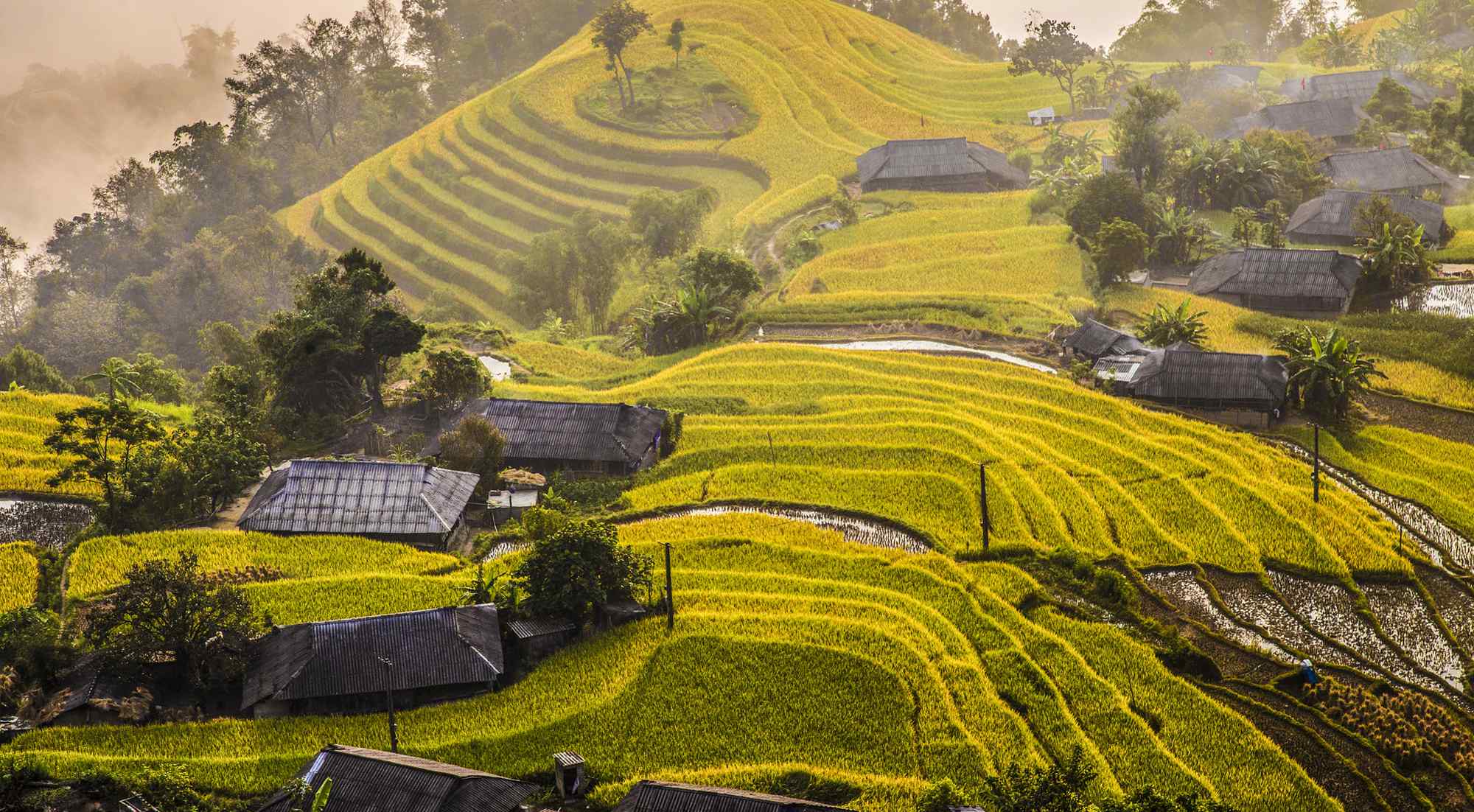 Hoang Su Phi Ha Giang Comfort Car Tour 5 days 4 nights 4 Hoang Su Phi Trekking Tour in 4N3D