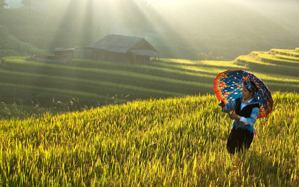 Hoang Su Phi Trekking Tour in 4N3D