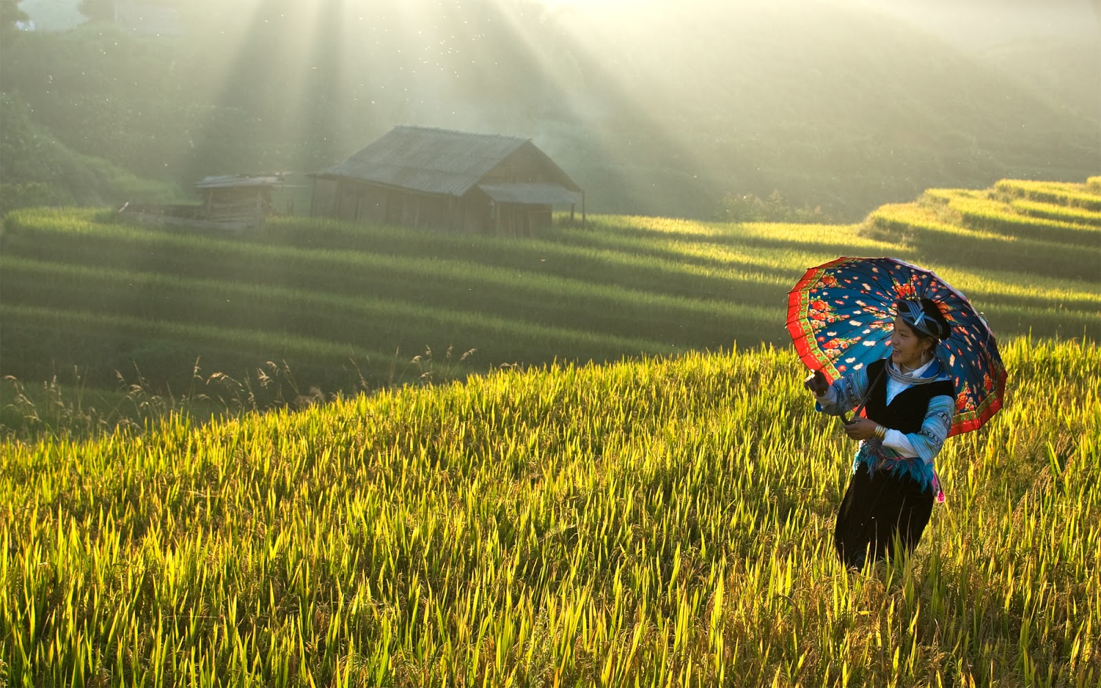 Hoang Su Phi Trekking Tour 4D3N 1 Hoang Su Phi Trekking Tour in 4N3D
