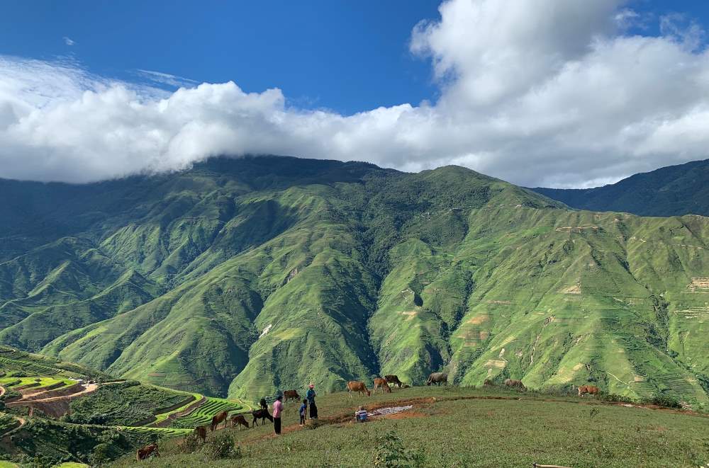 Moc Chau Ta Xua Highlights in 3D2N Tour 5 Moc Chau Ta Xua