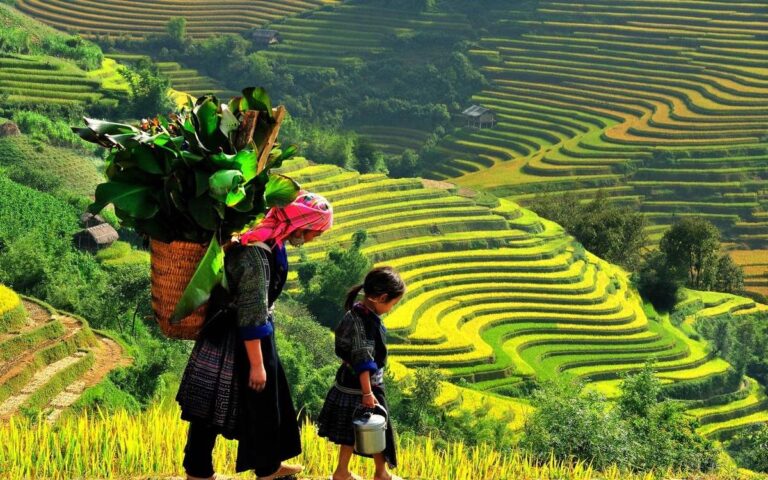 Sapa Tour 3 Days 2 Nights Local Immersion 4 Sapa Tour 3 Days 2 Nights