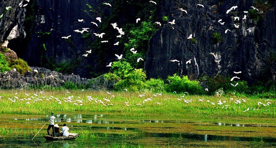 Thung Nham Bird Park Tour 2 Days 1 Night 5 Thung Nham Bird Park