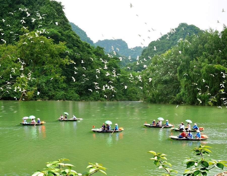 Thung Nham Bird Park Tour 2 Days 1 Night 1 Thung Nham Bird Park
