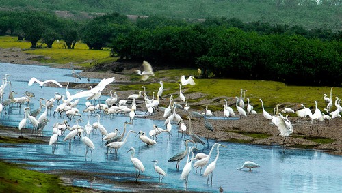 Xuan Thuy National Park & Nam Dinh Wetland Discovery Tour 3 Xuan Thuy National Park & Nam Dinh