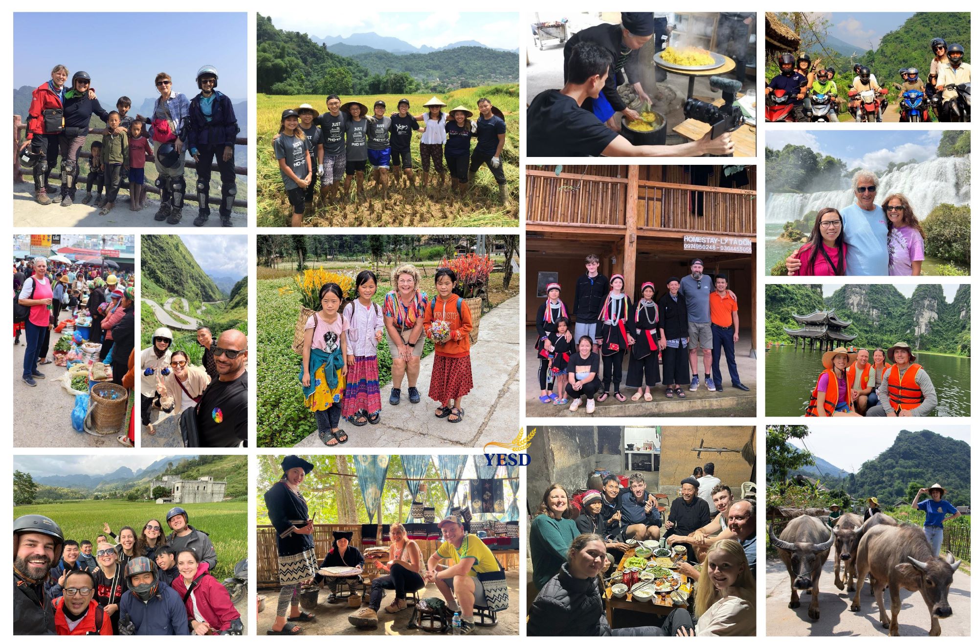 Home 2026 7 Customer reviews YESD Travel Ha Giang loop, Cao Bang, Sapa tours