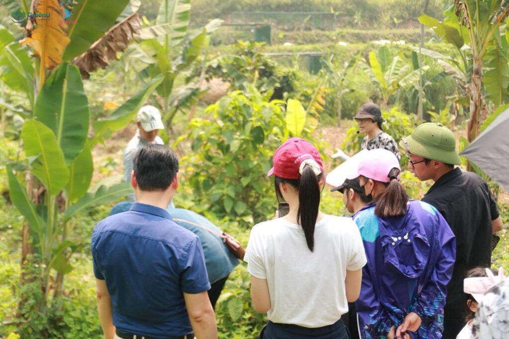 Hanoi Tours 7 Bavi Eco Tour