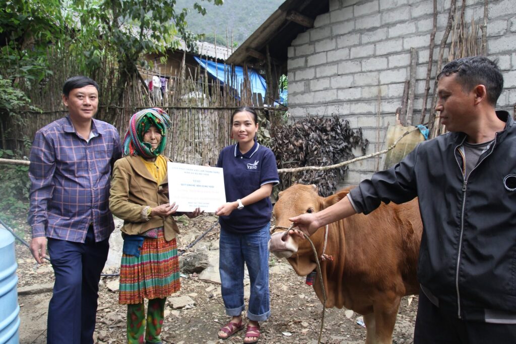 cow 2