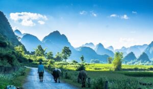 ngoc con valley phong nam valley 2