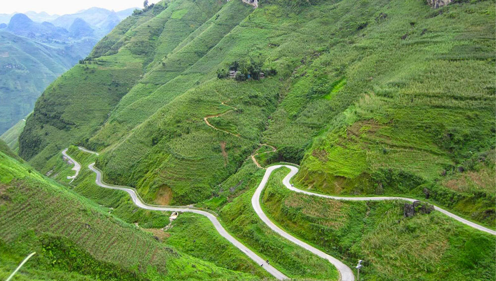 Ha Giang In October: The Complete Guide to the Golden Season 2 Ha Giang In October
