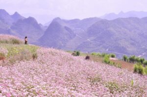 Ha Giang In October