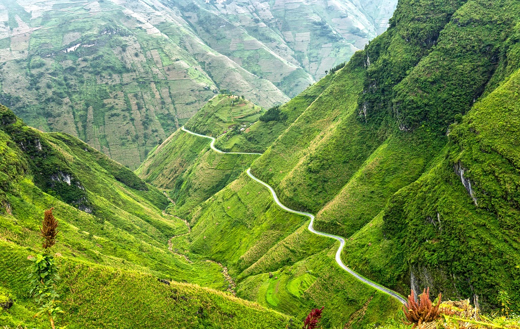 Ha Giang In September: A Complete Guide to the Golden Season 1 Ha Giang In September