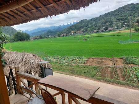 Ha Giang In September: A Complete Guide to the Golden Season 3 Ha Giang In September (2)