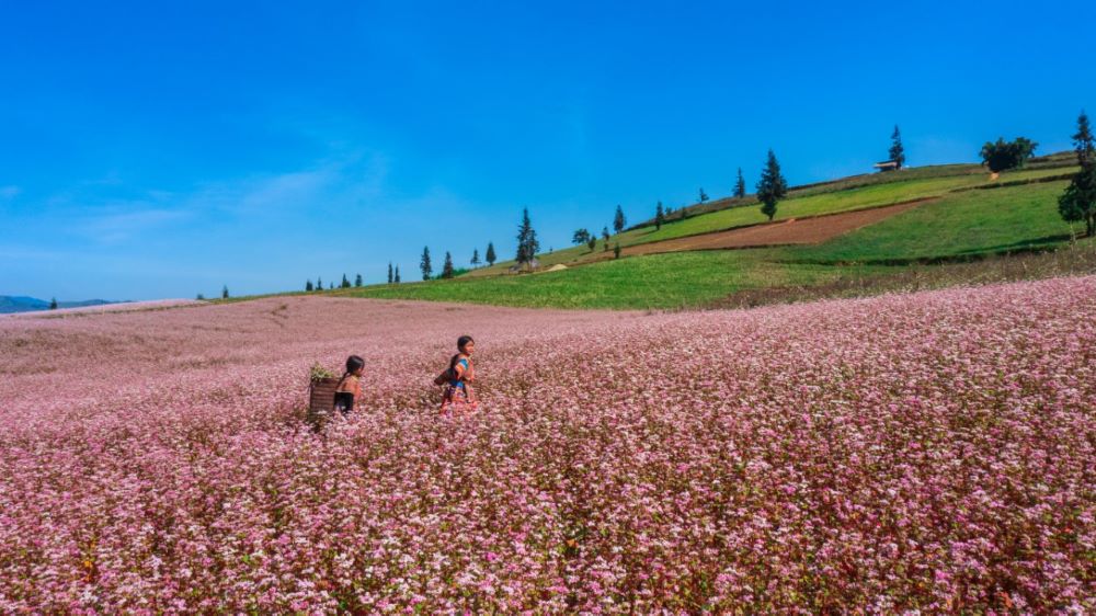 Ha Giang Tours Options Beyond The Loop