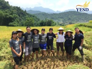 Vietnam Tour Package From Singapore